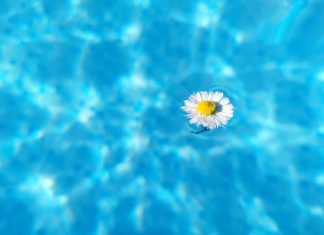 O zazdrości do testów TechTaty czyli mój smartfon stokrotka w basenie